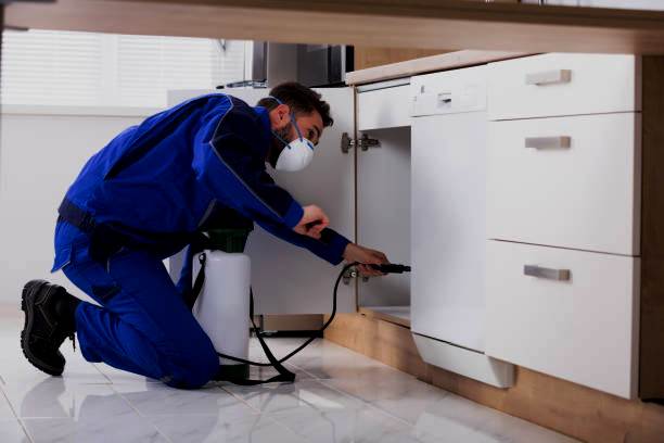General-Pest-Control-Services-in-Delhi-NCR